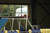 W.K. selectie hoogerheide zaterdag