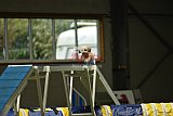 W.K. selectie hoogerheide zaterdag