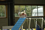 W.K. selectie hoogerheide zaterdag