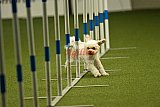 W.K. selectie hoogerheide zaterdag