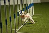 W.K. selectie hoogerheide zaterdag