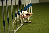 W.K. selectie hoogerheide zaterdag
