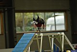 W.K. selectie hoogerheide zaterdag