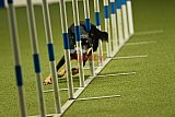 W.K. selectie hoogerheide zaterdag