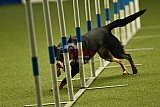 W.K. selectie hoogerheide zaterdag