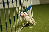 W.K. selectie hoogerheide zaterdag