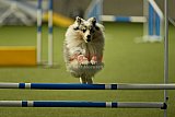 W.K. selectie hoogerheide zaterdag