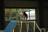 W.K. selectie hoogerheide zaterdag
