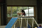 W.K. selectie hoogerheide zaterdag