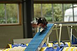 W.K. selectie hoogerheide zaterdag