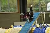 W.K. selectie hoogerheide zaterdag