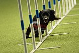 W.K. selectie hoogerheide zaterdag