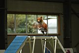 W.K. selectie hoogerheide zaterdag