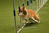 W.K. selectie hoogerheide zaterdag