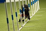 W.K. selectie hoogerheide zaterdag