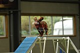 W.K. selectie hoogerheide zaterdag