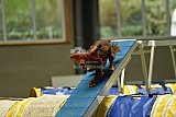 W.K. selectie hoogerheide zaterdag