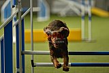 W.K. selectie hoogerheide zaterdag
