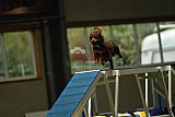W.K. selectie hoogerheide zaterdag