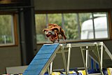 W.K. selectie hoogerheide zaterdag
