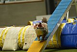 W.K. selectie hoogerheide zaterdag