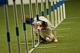 W.K. selectie hoogerheide zaterdag