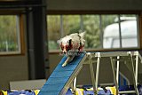 W.K. selectie hoogerheide zaterdag