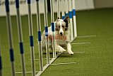 W.K. selectie hoogerheide zaterdag