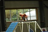 W.K. selectie hoogerheide zaterdag