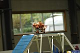 W.K. selectie hoogerheide zaterdag