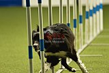 W.K. selectie hoogerheide zaterdag