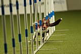 W.K. selectie hoogerheide zaterdag