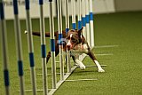 W.K. selectie hoogerheide zaterdag
