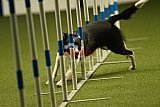 W.K. selectie hoogerheide zaterdag