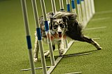 W.K. selectie hoogerheide zaterdag