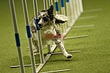 W.K. selectie hoogerheide zaterdag