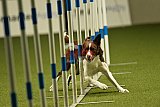 W.K. selectie hoogerheide zaterdag
