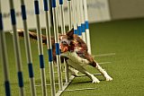 W.K. selectie hoogerheide zaterdag
