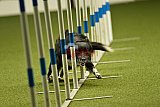 W.K. selectie hoogerheide zaterdag
