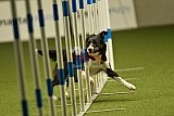 W.K. selectie hoogerheide zaterdag