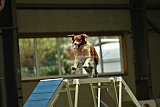 W.K. selectie hoogerheide zaterdag