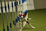 W.K. selectie hoogerheide zaterdag
