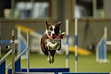 W.K. selectie hoogerheide zaterdag