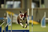 W.K. selectie hoogerheide zaterdag