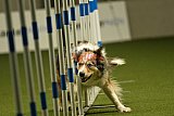 W.K. selectie hoogerheide zaterdag