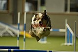 W.K. selectie hoogerheide zaterdag