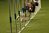 W.K. selectie hoogerheide zaterdag