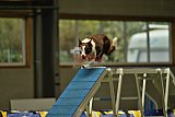 W.K. selectie hoogerheide zaterdag