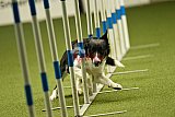 W.K. selectie hoogerheide zaterdag