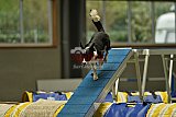 W.K. selectie hoogerheide zaterdag